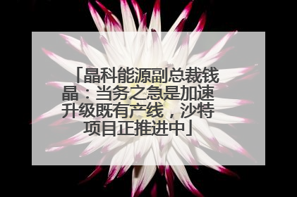 晶科能源副总裁钱晶：当务之急是加速升级既有产线，沙特项目正推进中