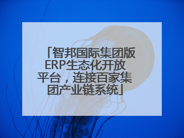 智邦国际集团版ERP生态化开放平台，连接百家集团产业链系统