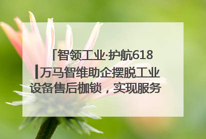 智领工业·护航618┃万马智维助企摆脱工业设备售后枷锁，实现服务与效能价值共振！