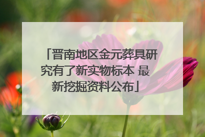 晋南地区金元葬具研究有了新实物标本 最新挖掘资料公布