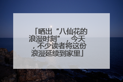 晒出“八仙花的浪漫时刻”，今天，不少读者将这份浪漫延续到家里