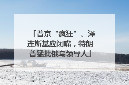 普京“疯狂”、泽连斯基应闭嘴，特朗普猛批俄乌领导人