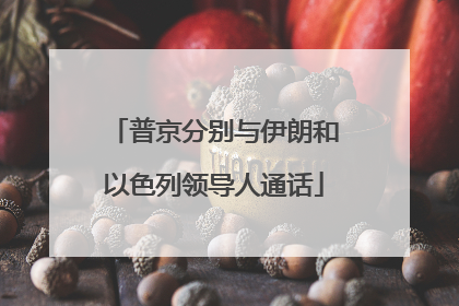 普京分别与伊朗和以色列领导人通话