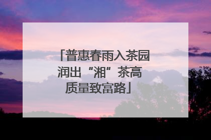 普惠春雨入茶园 润出“湘”茶高质量致富路