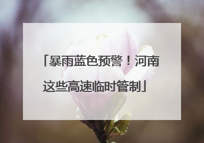 暴雨蓝色预警！河南这些高速临时管制