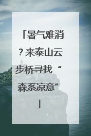 暑气难消？来泰山云步桥寻找“森系凉意”