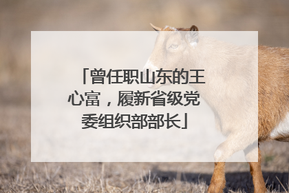 曾任职山东的王心富，履新省级党委组织部部长