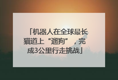 机器人在全球最长猫道上“遛狗”，完成3公里行走挑战