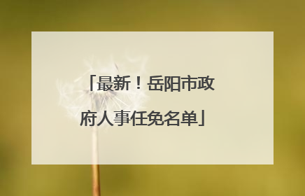 最新！岳阳市政府人事任免名单