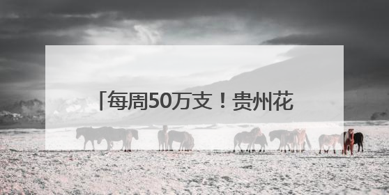 每周50万支！贵州花山医疗注射器飘洋过海