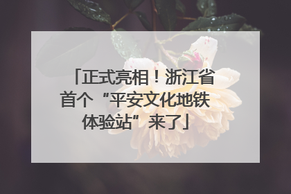 正式亮相！浙江省首个“平安文化地铁体验站”来了