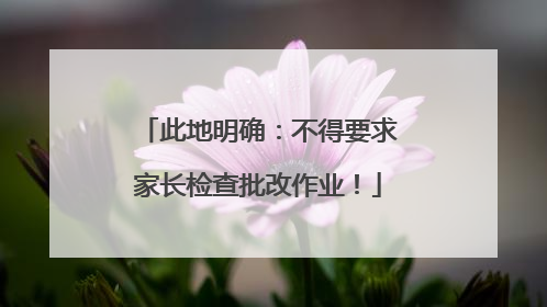 此地明确：不得要求家长检查批改作业！