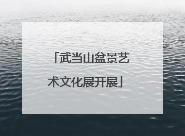 武当山盆景艺术文化展开展