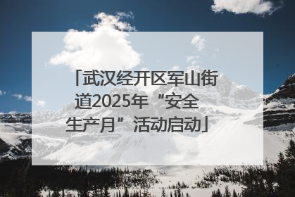 武汉经开区军山街道2025年“安全生产月”活动启动