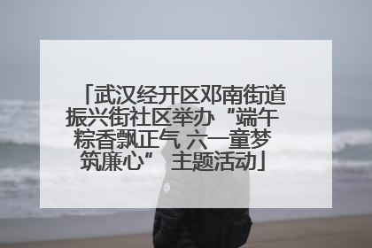 武汉经开区邓南街道振兴街社区举办“端午粽香飘正气 六一童梦筑廉心” 主题活动