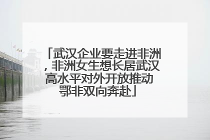 武汉企业要走进非洲，非洲女生想长居武汉 高水平对外开放推动鄂非双向奔赴