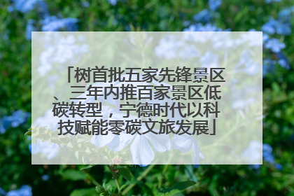 树首批五家先锋景区、三年内推百家景区低碳转型，宁德时代以科技赋能零碳文旅发展
