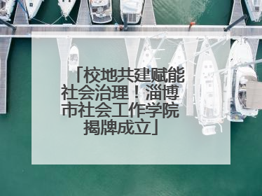 校地共建赋能社会治理！淄博市社会工作学院揭牌成立