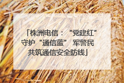 株洲电信：“党建红”守护“通信蓝” 军警民共筑通信安全防线