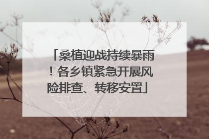 桑植迎战持续暴雨！各乡镇紧急开展风险排查、转移安置