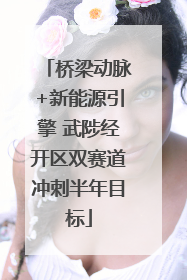 桥梁动脉+新能源引擎 武陟经开区双赛道冲刺半年目标