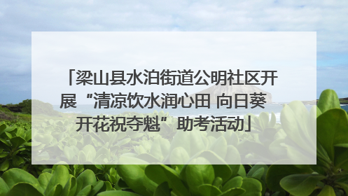 梁山县水泊街道公明社区开展“清凉饮水润心田 向日葵开花祝夺魁”助考活动