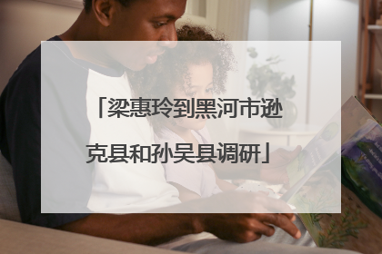 梁惠玲到黑河市逊克县和孙吴县调研