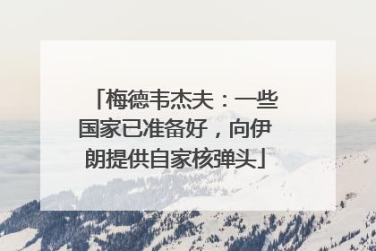 梅德韦杰夫：一些国家已准备好，向伊朗提供自家核弹头