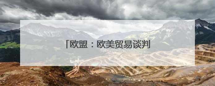 欧盟：欧美贸易谈判前景面临不确定性