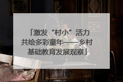激发“村小”活力 共绘多彩童年——乡村基础教育发展观察
