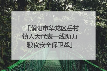 濮阳市华龙区岳村镇人大代表一线助力粮食安全保卫战