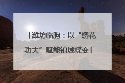 潍坊临朐：以“绣花功夫”赋能镇域蝶变