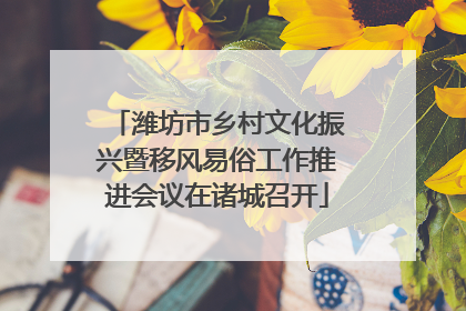 潍坊市乡村文化振兴暨移风易俗工作推进会议在诸城召开
