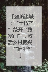 潍坊诸城：“土特产”敲开“致富门”，激活乡村振兴“新引擎”