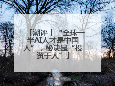 潮评丨“全球一半AI人才是中国人”，秘诀是“投资于人”