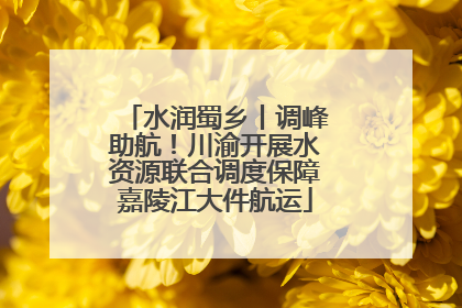 水润蜀乡丨调峰助航！川渝开展水资源联合调度保障嘉陵江大件航运