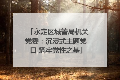 永定区城管局机关党委：沉浸式主题党日 筑牢党性之基
