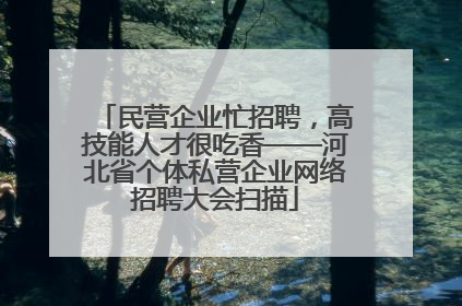 民营企业忙招聘，高技能人才很吃香——河北省个体私营企业网络招聘大会扫描