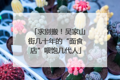 求别搬！吴家山街几十年的“面食店”喂饱几代人