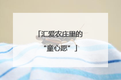 汇爱农庄里的“童心愿”