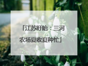 江苏盱眙：三河农场夏收夏种忙