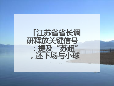 江苏省省长调研释放关键信号：提及“苏超”，还下场与小球员踢球互动