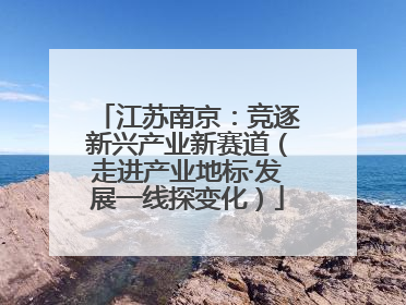 江苏南京：竞逐新兴产业新赛道（走进产业地标·发展一线探变化）