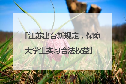江苏出台新规定，保障大学生实习合法权益