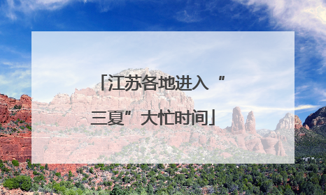 江苏各地进入“三夏”大忙时间