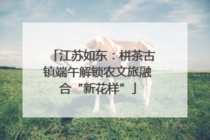 江苏如东：栟茶古镇端午解锁农文旅融合“新花样”