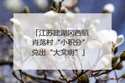 江苏建湖冈西镇肖荡村“小积分”兑出“大文明”