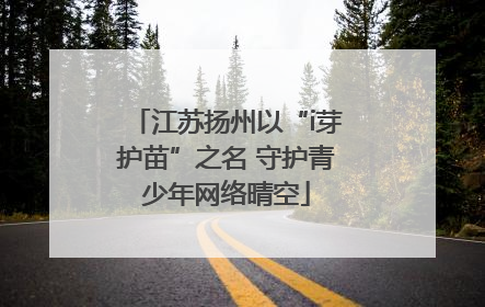 江苏扬州以“i芽护苗”之名 守护青少年网络晴空
