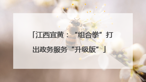 江西宜黄：“组合拳”打出政务服务“升级版”