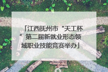 江西抚州市“天工杯”第二届新就业形态领域职业技能竞赛举办